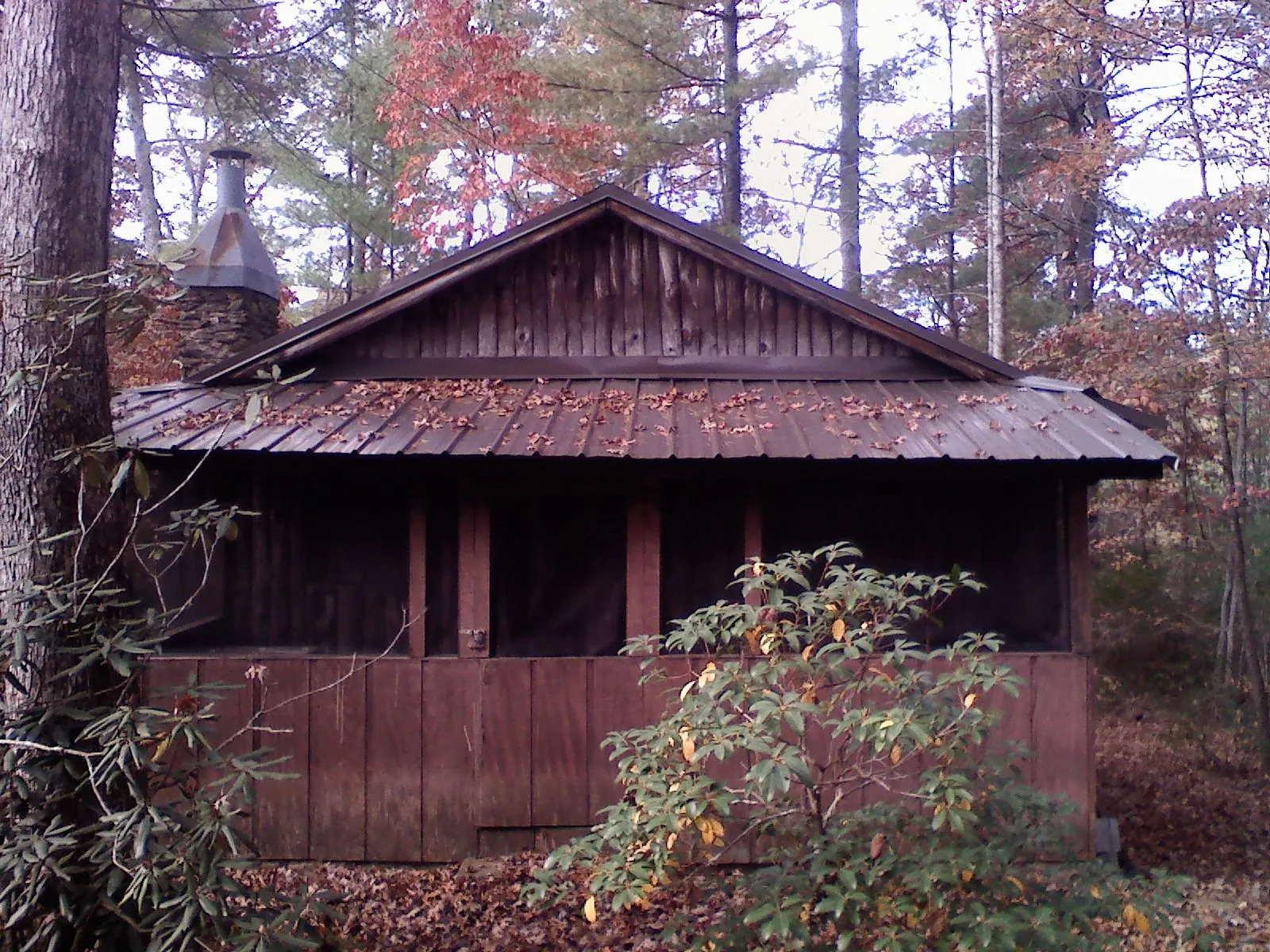 Metal roof over the screened porch of a rustic cabin in Wellington